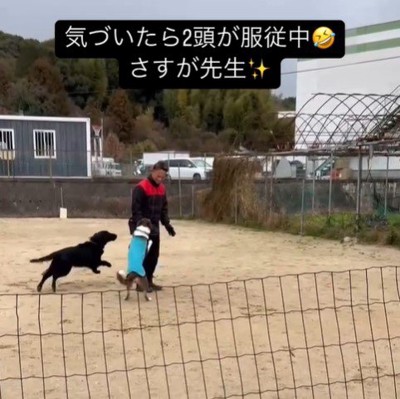 訓練中に乱入するポリくん5