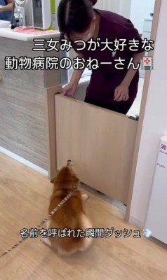 大急ぎで駆け寄った
