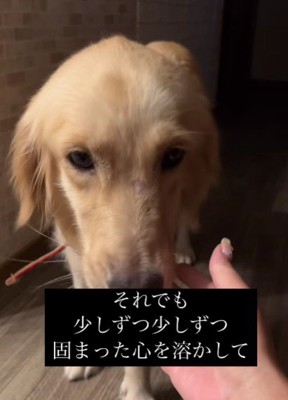 もう一度人間を信じたい…