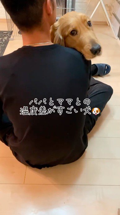 男性に寄り添う犬