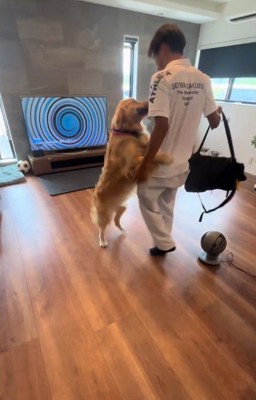 飛びかかるエルちゃん