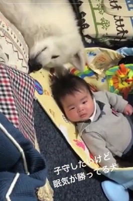 眠気に勝てない