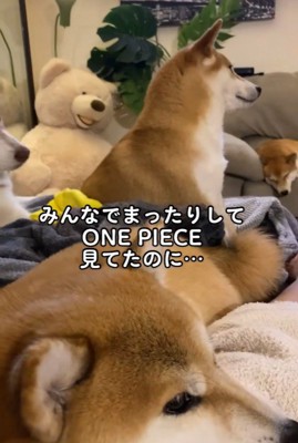 みんなでまったり…♪