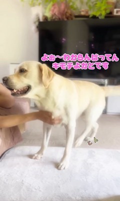 撫でられてスイッチが入るトニーくん8