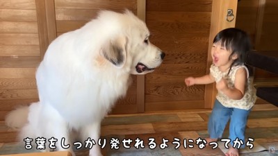 優しいシュシュちゃん