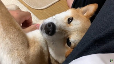 幸せそう♪