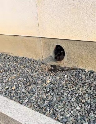 トリックアートみたい!?