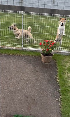 外で遊んでいた幸太郎くんと3