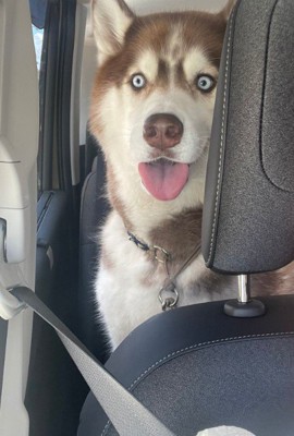 人間のような表情に!!