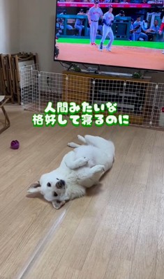 人間臭さもあるけど…