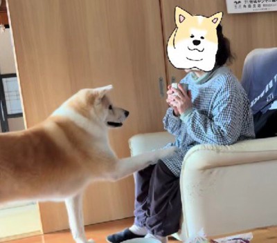 お母さんにおねだり