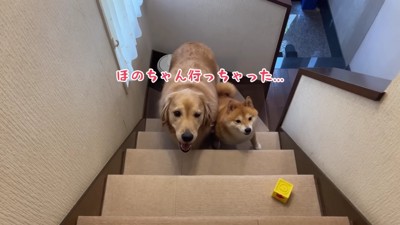 悲し気な表情にキュン…