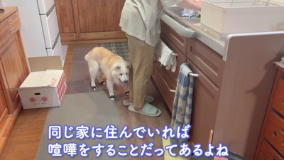 お母さんに寄り添うあいちゃん