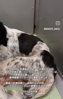 歩くことが出来ない…