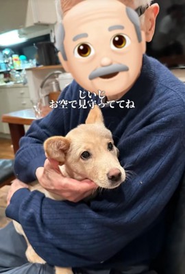 おじいちゃんと犬