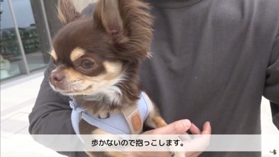 うにちゃんのお散歩拒否9