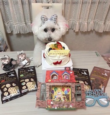 リリーちゃんの変化⑩