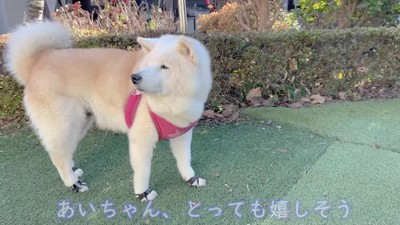 とっても嬉しそう!