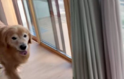 家に帰ったあとは…