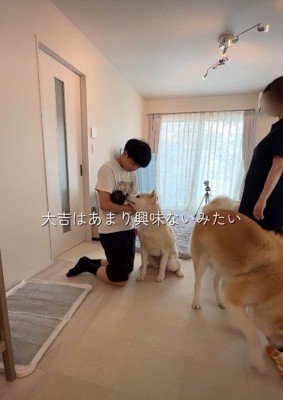 大吉くんは簡単な挨拶