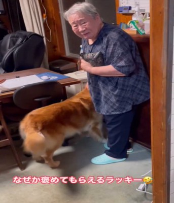 おばあちゃんと犬