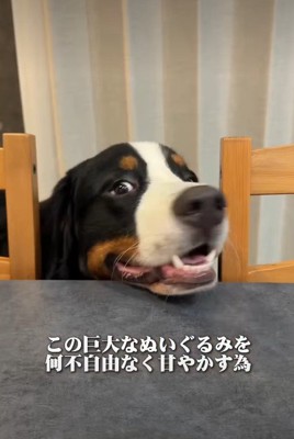 アロちゃん第一♡