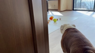 入室したのは…