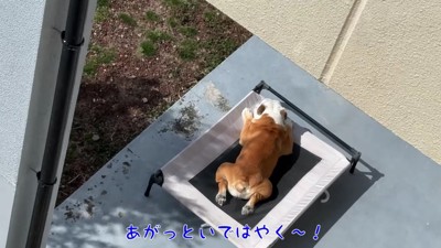 ぶるまるくんも見守ってる!?