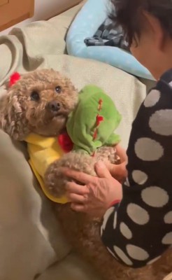 茶々丸くんとおばあちゃん7