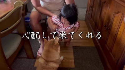 徐々に泣き止んだひよりちゃん