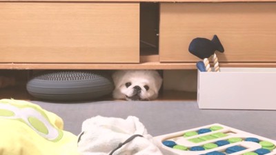 また籠城するぷんちくん