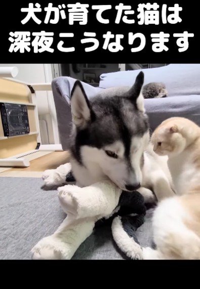 隣に腰を下ろした