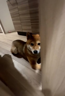 ずっと待ってるイブキくん