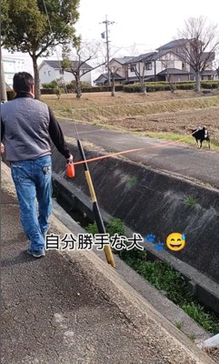 お父さんと定春くんのお散歩3