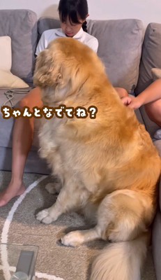 お姉ちゃんたちに助けを求める