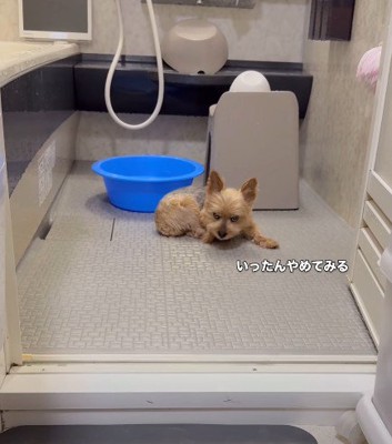 疲れたら一休み