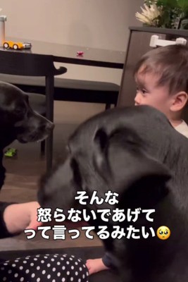 怒られちゃった!!