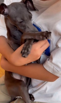 反省中のクッカちゃん7