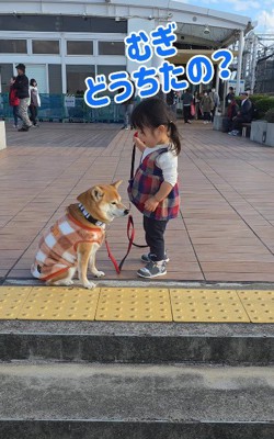 「どうしたの」