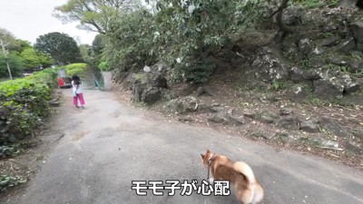 「モモ子ちゃん大丈夫かな！？」