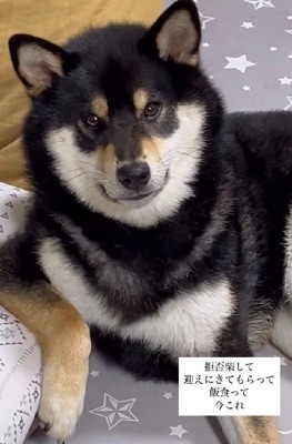 「なんか文句ある?」