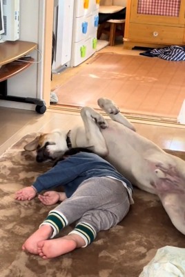 寄り添うふたり