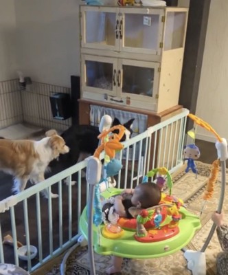 2匹の犬と子ども2人