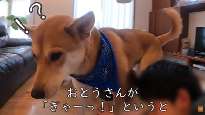 「お父さん、大丈夫？」と心配