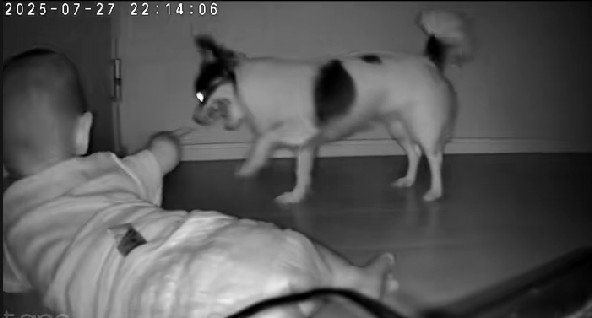 扉の前で待ってみたり…