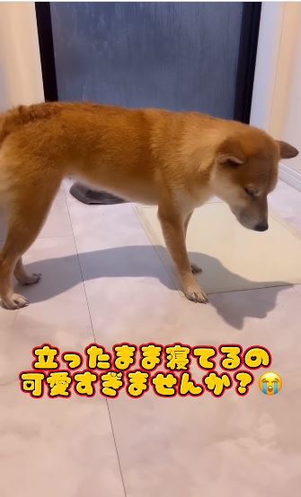 まだまだ目が覚めません