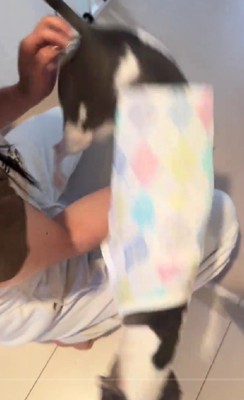 大興奮のうみちゃん♡