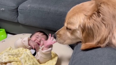 寝かしつける係♡