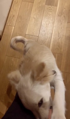 とっても幸せそうです