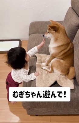 手を伸ばすゆーちゃん